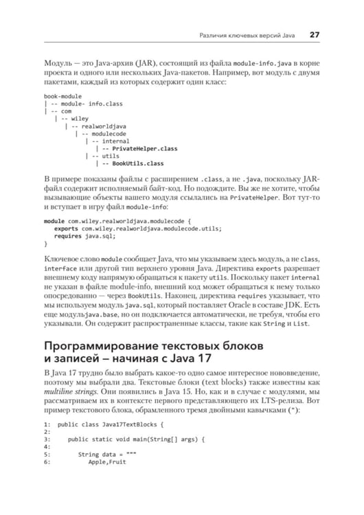 Дополнительное изображение книги «Java для профи. Инструменты, фреймворки, тестирование, производительность (Spring, Git, Prometheus, Project Lombok)»