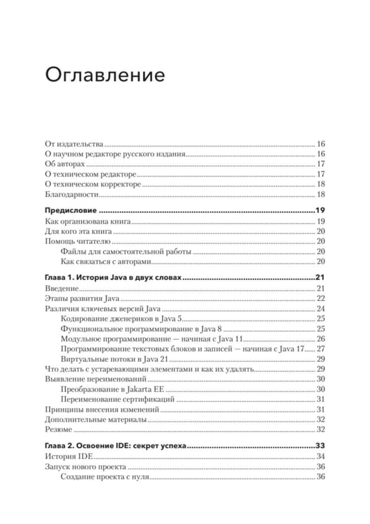 Дополнительное изображение книги «Java для профи. Инструменты, фреймворки, тестирование, производительность (Spring, Git, Prometheus, Project Lombok)»