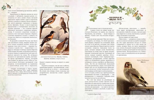Дополнительное изображение книги «Мир русских птиц. Пернатое царство»