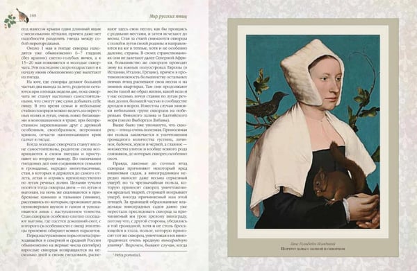 Дополнительное изображение книги «Мир русских птиц. Пернатое царство»