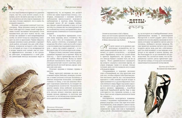 Дополнительное изображение книги «Мир русских птиц. Пернатое царство»