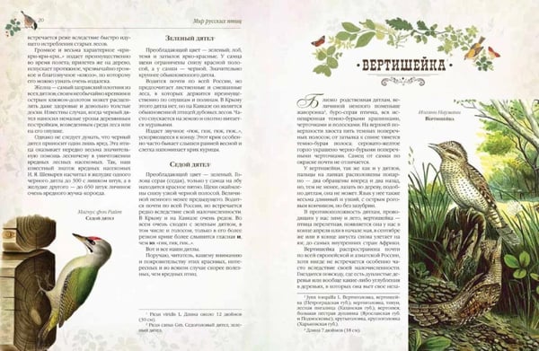 Дополнительное изображение книги «Мир русских птиц. Пернатое царство»