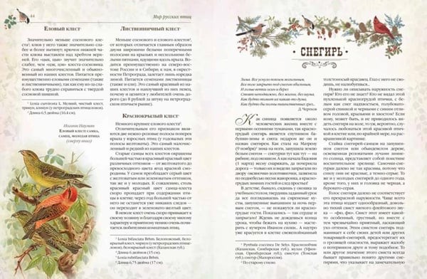 Дополнительное изображение книги «Мир русских птиц. Пернатое царство»