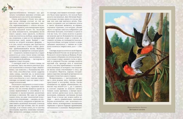 Дополнительное изображение книги «Мир русских птиц. Пернатое царство»