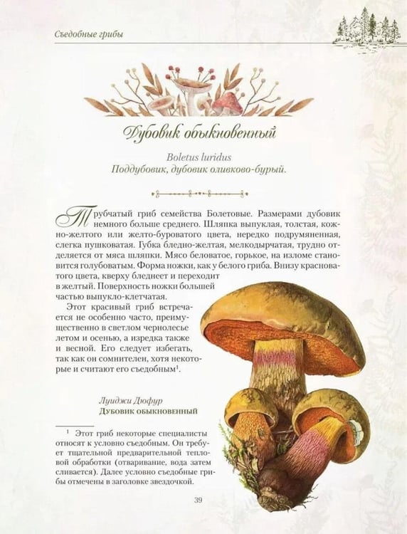 Дополнительное изображение книги «Русский лес. Грибы и ягоды»