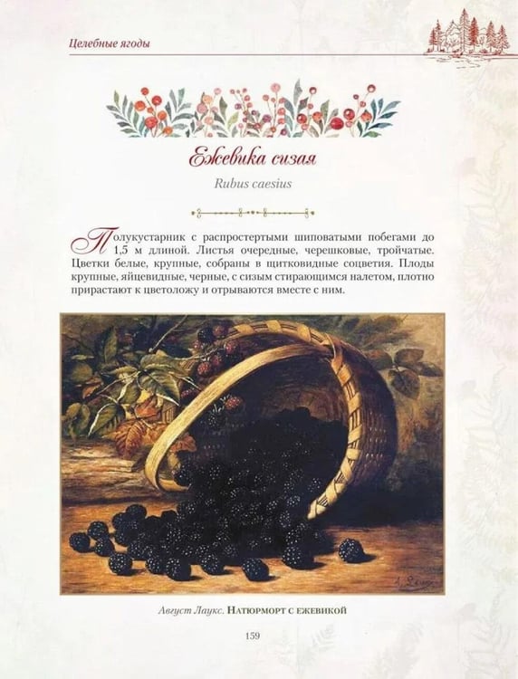 Дополнительное изображение книги «Русский лес. Грибы и ягоды»