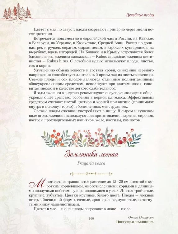 Дополнительное изображение книги «Русский лес. Грибы и ягоды»