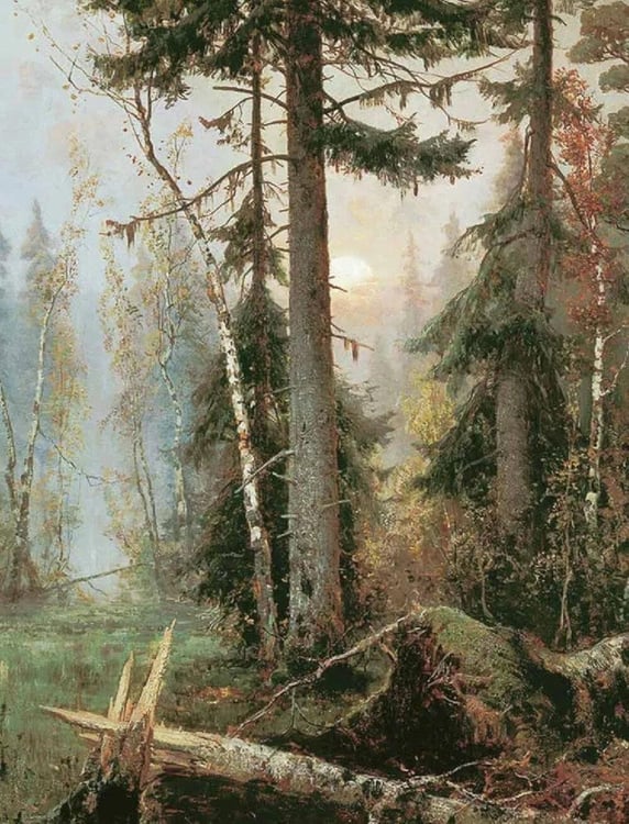 Дополнительное изображение книги «Русский лес. Грибы и ягоды»
