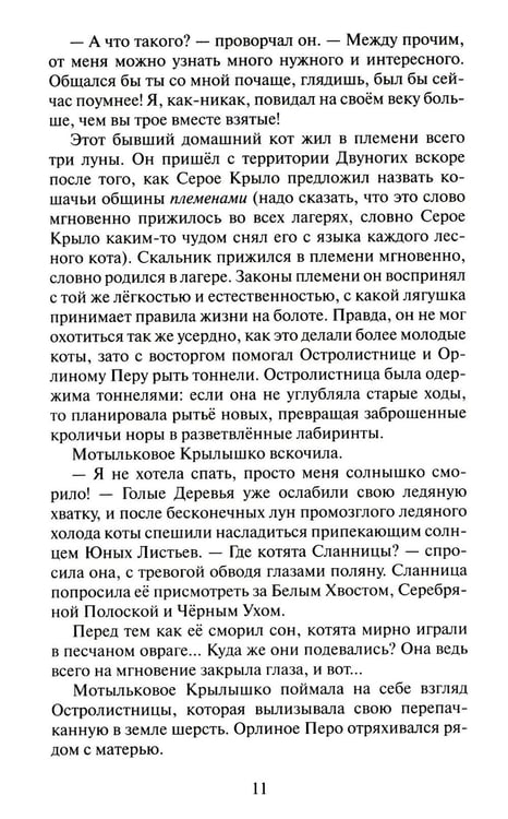 Дополнительное изображение книги «Коты-воители. Cны и видения Бабочки. Кн. 1. Беглянка»