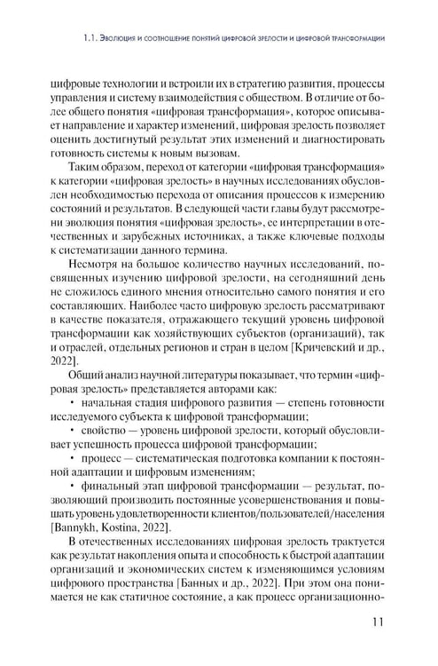 Дополнительное изображение книги «Цифровая зрелость государственного управления в России: теория, методология, практика оценки: монография»