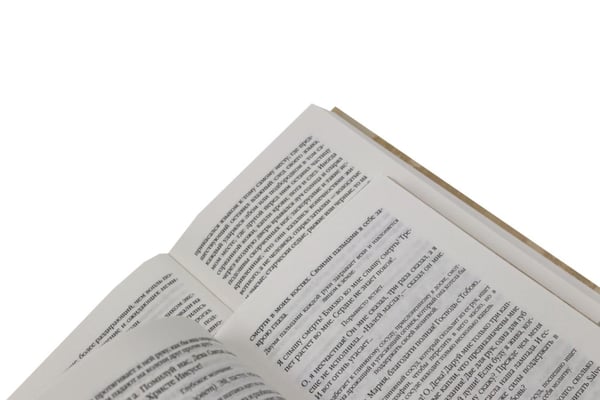 Дополнительное изображение книги «Д'Аннунцио Г. Собрание сочинений: В 6 т (комплект)»