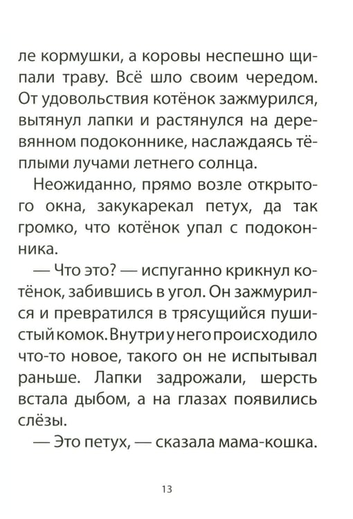 Дополнительное изображение книги «Книга для детей по психосоматике. Чувства, эмоции. Котенок по имени Рада»