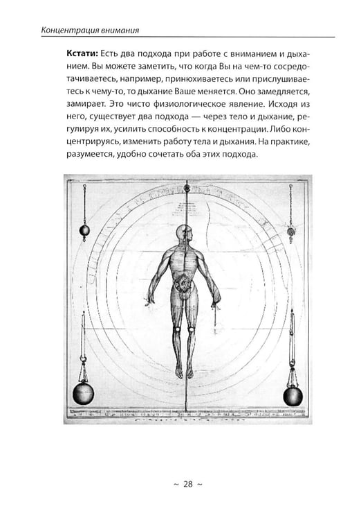 Дополнительное изображение книги «Путь к творческому мышлению. Базовые приемы работы с образами и воображением»
