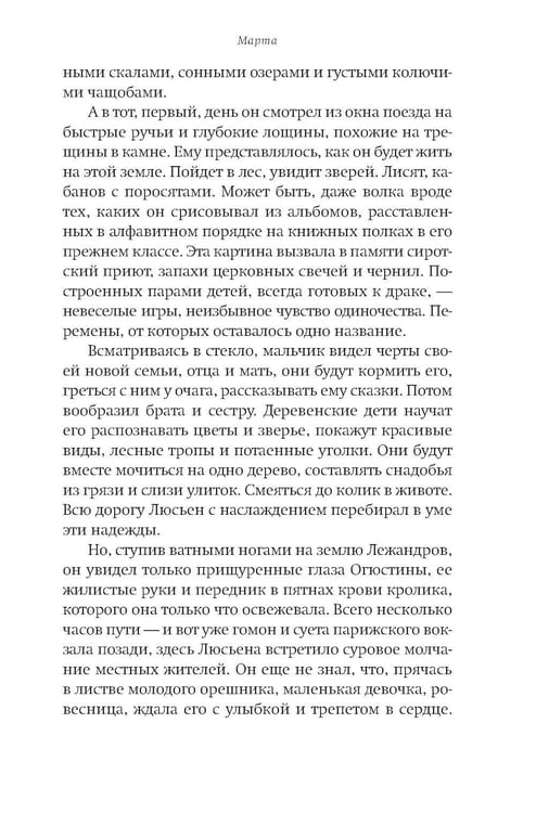 Дополнительное изображение книги «Секрет матерей: роман»