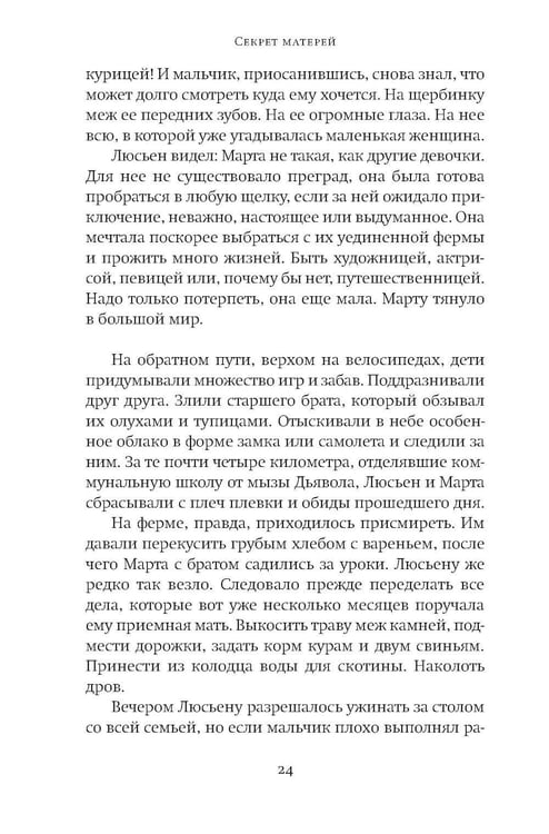 Дополнительное изображение книги «Секрет матерей: роман»