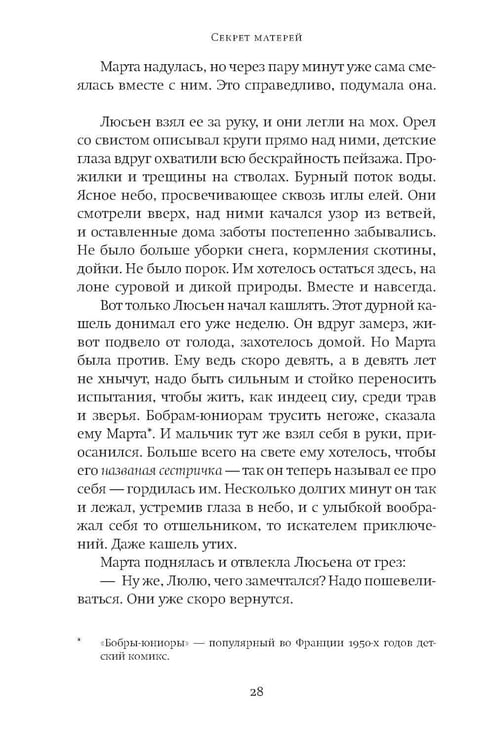 Дополнительное изображение книги «Секрет матерей: роман»