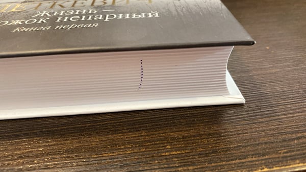 Дополнительное изображение книги «Жизнь — сапожок непарный. Книга первая»