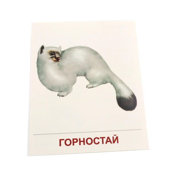 Дополнительное изображение книги «Дикие животные-1. 16 демонстрационных картинок с текстом»