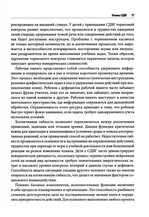 Дополнительное изображение книги «СДВГ у детей: поддержка, развитие и повседневные стратегии для семьи»