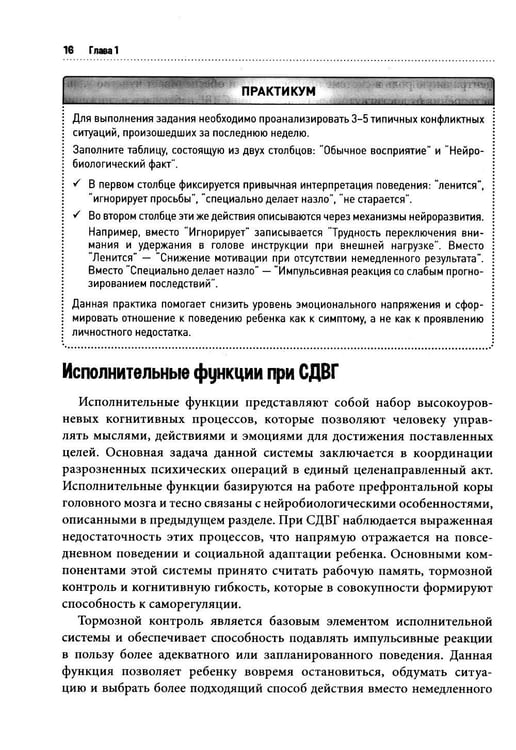 Дополнительное изображение книги «СДВГ у детей: поддержка, развитие и повседневные стратегии для семьи»