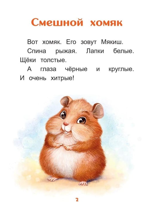 Дополнительное изображение книги «Меня зовут Мякиш: книга для первого самостоятельного чтения»