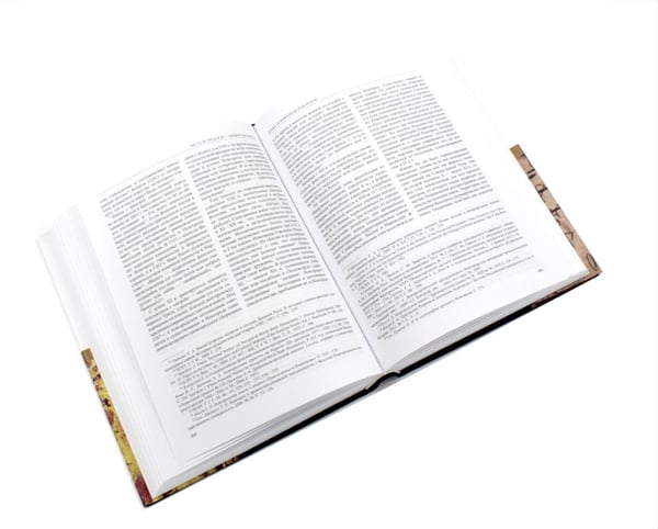 Дополнительное изображение книги «История России: В 20 т. Т. 2-3: Государства и народы на территории России (комплект из 2-х книг)»