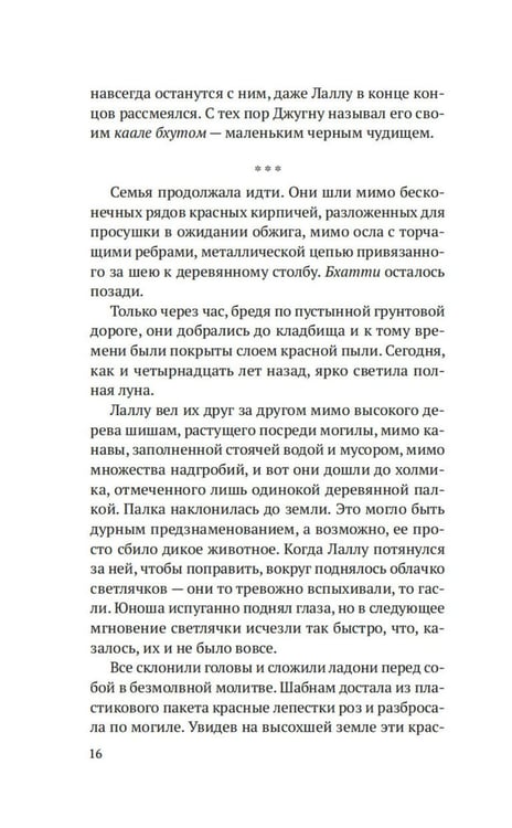 Дополнительное изображение книги «Когда танцуют светлячки: роман»