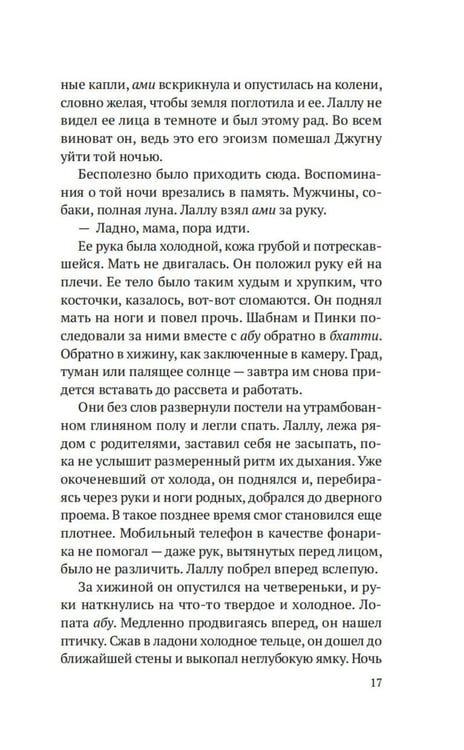 Дополнительное изображение книги «Когда танцуют светлячки: роман»