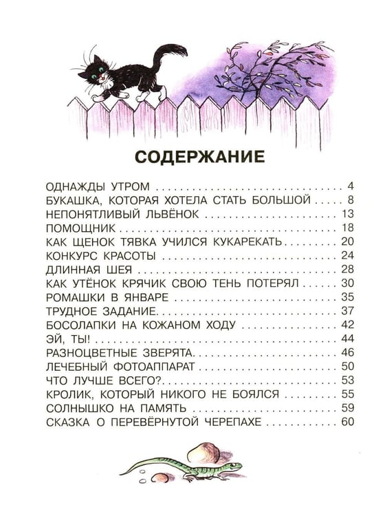 Дополнительное изображение книги «Сказки»