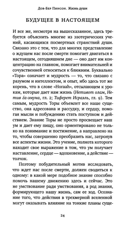 Дополнительное изображение книги «Жизнь души. Еврейское учение о том, что нас ждет после смерти»