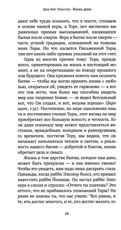 Дополнительное изображение книги «Жизнь души. Еврейское учение о том, что нас ждет после смерти»