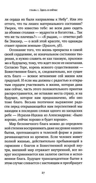 Дополнительное изображение книги «Жизнь души. Еврейское учение о том, что нас ждет после смерти»