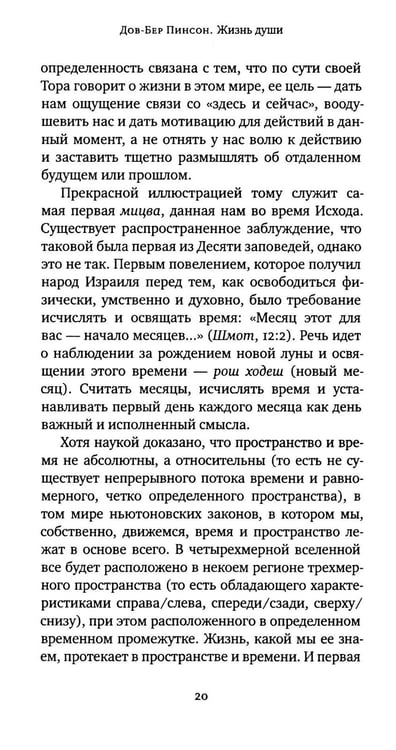 Дополнительное изображение книги «Жизнь души. Еврейское учение о том, что нас ждет после смерти»