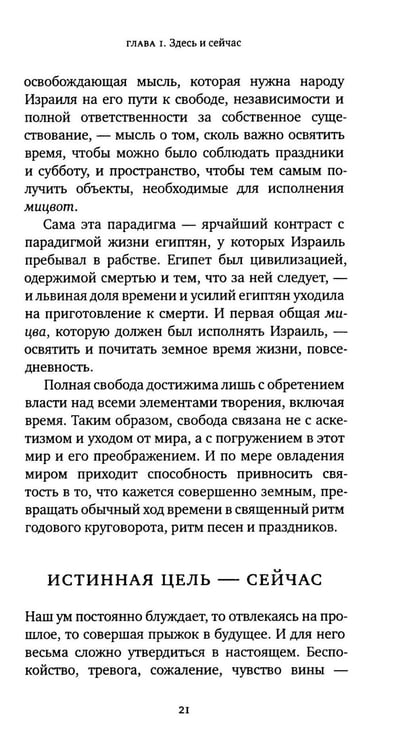 Дополнительное изображение книги «Жизнь души. Еврейское учение о том, что нас ждет после смерти»