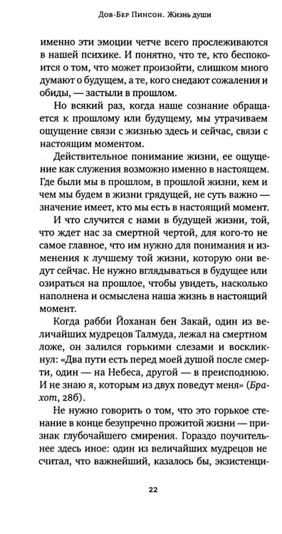 Дополнительное изображение книги «Жизнь души. Еврейское учение о том, что нас ждет после смерти»