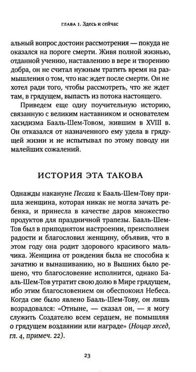Дополнительное изображение книги «Жизнь души. Еврейское учение о том, что нас ждет после смерти»