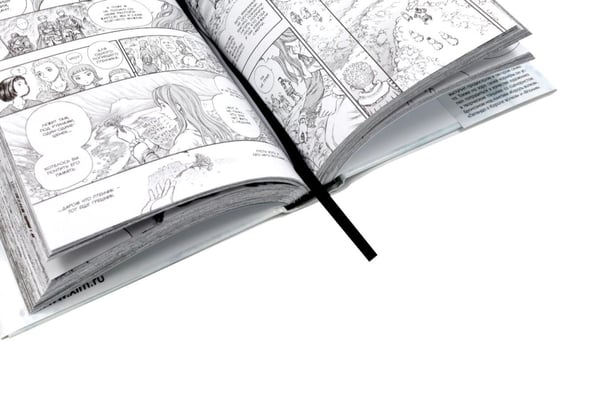 Дополнительное изображение книги «Берсерк. Т. 11-12 (комплект из 2-х книг)»