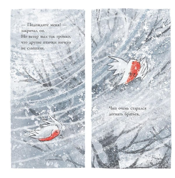 Дополнительное изображение книги «Сердце зимы»