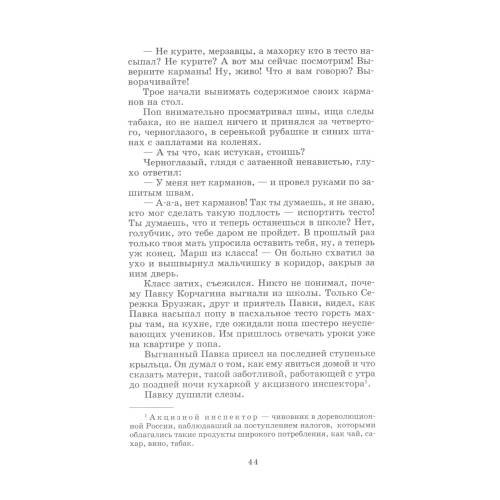 Дополнительное изображение книги «Как закалялась сталь роман»