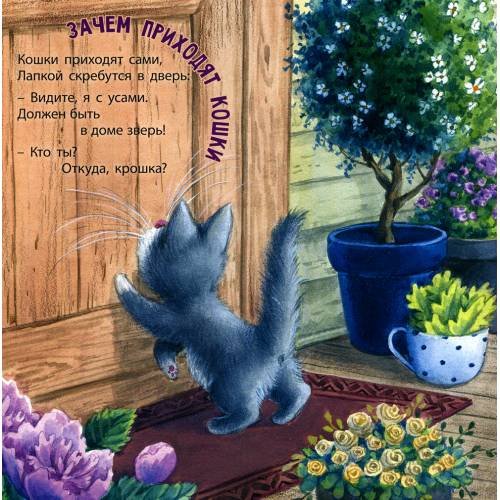 Дополнительное изображение книги «Как я котиков люблю!»