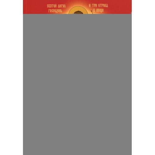 Дополнительное изображение книги «Под покровом ангельских Сил. Молитвы святым Архангелам и Ангелам»