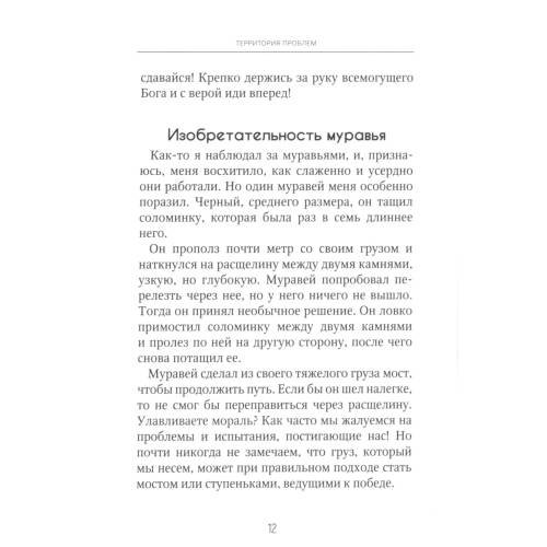 Дополнительное изображение книги «Территория проблем»