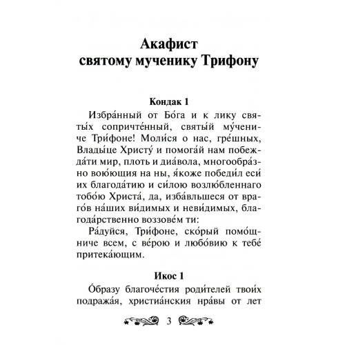 Дополнительное изображение книги «Акафист святому мученику Трифону»