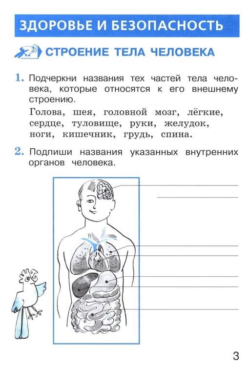 Дополнительное изображение книги «Окружающий мир. 2 кл. В 2 ч. Ч. 2. Тетрадь для тренировки и самопроверки. 15-е изд., стер»