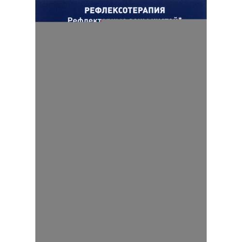 Дополнительное изображение книги «Плакат "Рефлексотерапия. Рефлекторные зоны кистей". Полноцветный, двустронний. Формат А4»