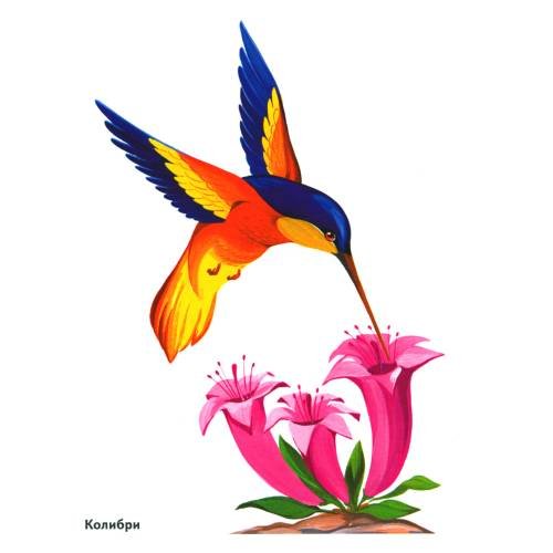 Дополнительное изображение книги «Птицы в картинках. Вып. 3. Наглядное пособие для педагогов, логопедов, воспитателей, родителей»