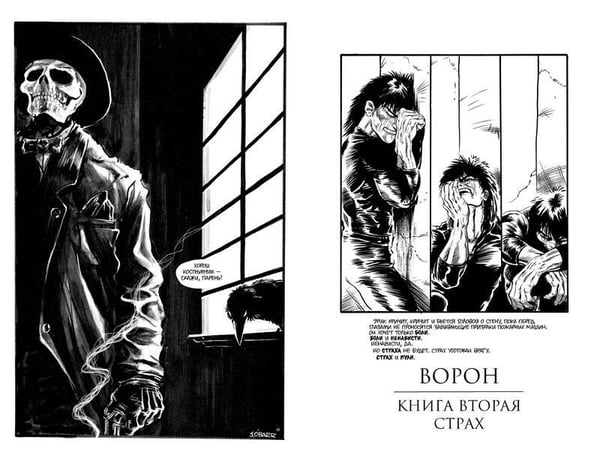 Дополнительное изображение книги «Ворон»