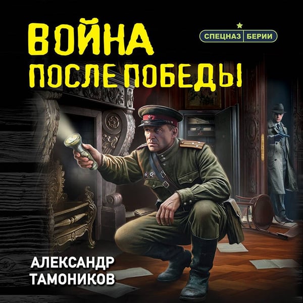 Дополнительное изображение книги «Война после победы»