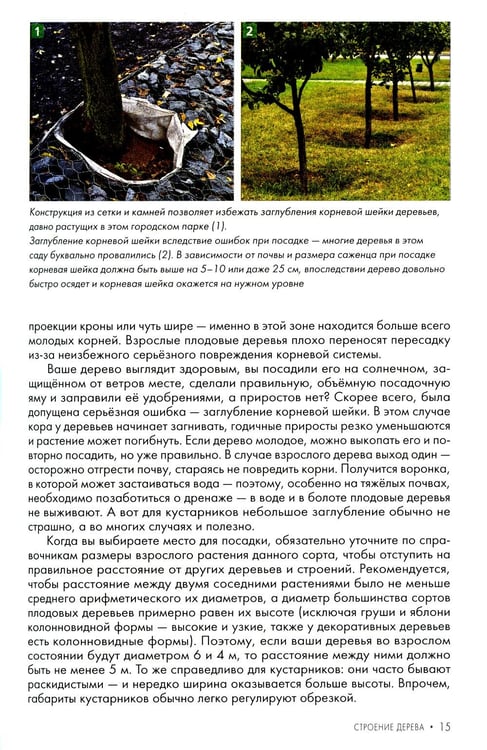 Дополнительное изображение книги «Обрезка плодовых и декоративных деревьев и кустарников»