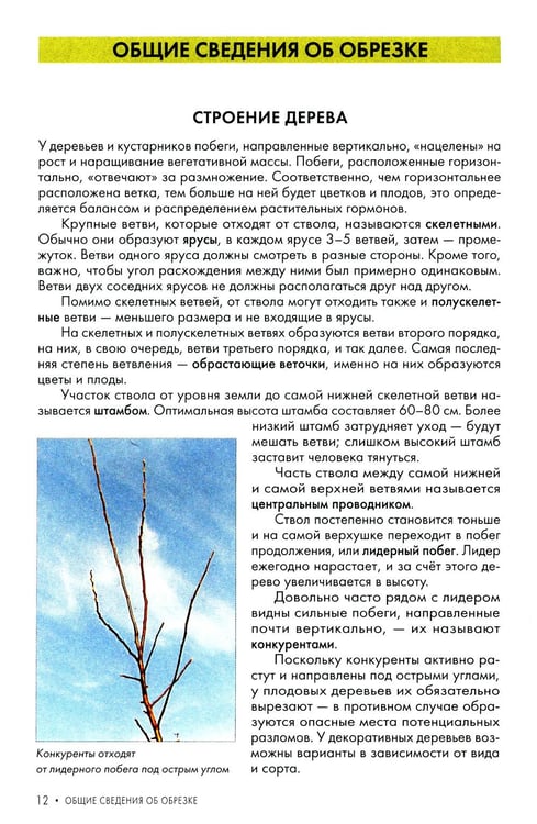 Дополнительное изображение книги «Обрезка плодовых и декоративных деревьев и кустарников»